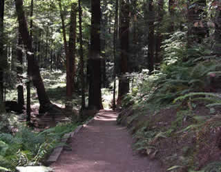 A Trail on Pacific Trails Resort